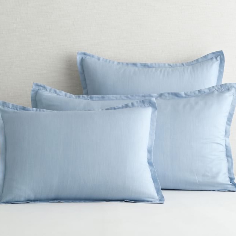 Pottery Barn Euro Shams